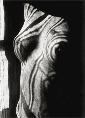 Los 4208 - Man Ray - Rayographs - 1 - thumb