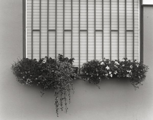 Los 4236 - Schmidt, Michael - Images from the series "Irgendwo" - 2 - thumb