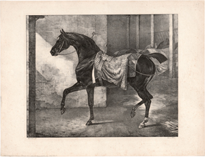 Lot 5308, Auction  128, Géricault, Théodore, Cheval noir attaché dans une écurie
