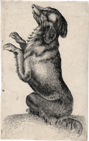 Lot 5522, Auction  128, Hollar, Wenzel - Nachfolge, Auf den HInterbeinen stehender Hund