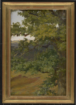 Los 6082 - Deutsch - um 1840. Sommerlandschaft mit belaubter Eiche - 1 - thumb