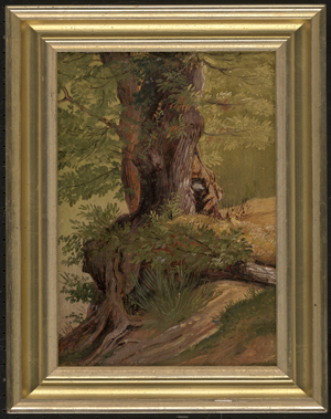 Los 6091 - Törmer, Benno Friedrich - Baumstamm bei Ariccia in den Albaner Bergen - 1 - thumb