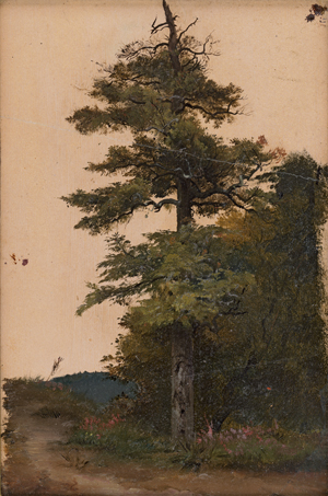 Lot 6110, Auction  128, Hummel, Carl Maria Nikolaus, Studie einer Kiefer mit kahlen Ästen