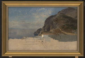Los 6119 - Schuster, Rudolf Heinrich - Die Küste von Capri bei Marina Piccola mit Blick auf die Certosa di San Giacomo - 1 - thumb