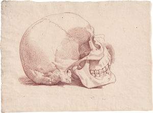 Lot 6620, Auction  128, Französisch, 18. Jh. Studie eines Schädels