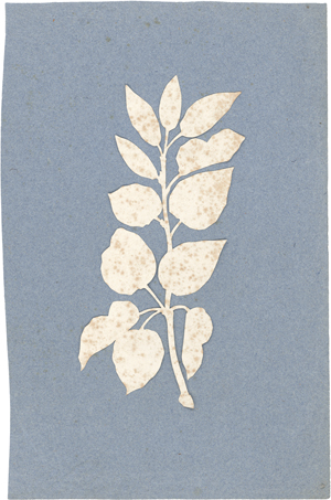 Lot 6671, Auction  128, Runge, Philipp Otto, Blätterzweig