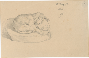 Lot 6677, Auction  128, Hübner, Julius, Der Familienhund Ali, schlafend