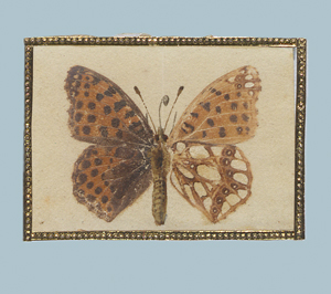 Lot 6739, Auction  128, Deutsch, um 1840. Ca. 135 aquarellierte Naturselbstdrucke von verschiedenen Schmetterlingen und Motten.