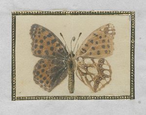 Los 6739 - Deutsch - um 1840. Ca. 135 aquarellierte Naturselbstdrucke von verschiedenen Schmetterlingen und Motten. - 2 - thumb