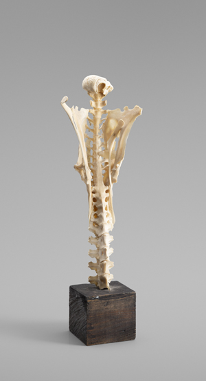 Lot 7293, Auction  128, Beckmann, Otto, Schamanisches Objekt (Knochenfigur)