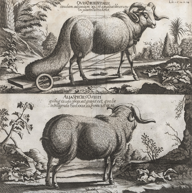 Lot 22, Auction 128, Ludolf, Hiob, Historia Aethiopica
