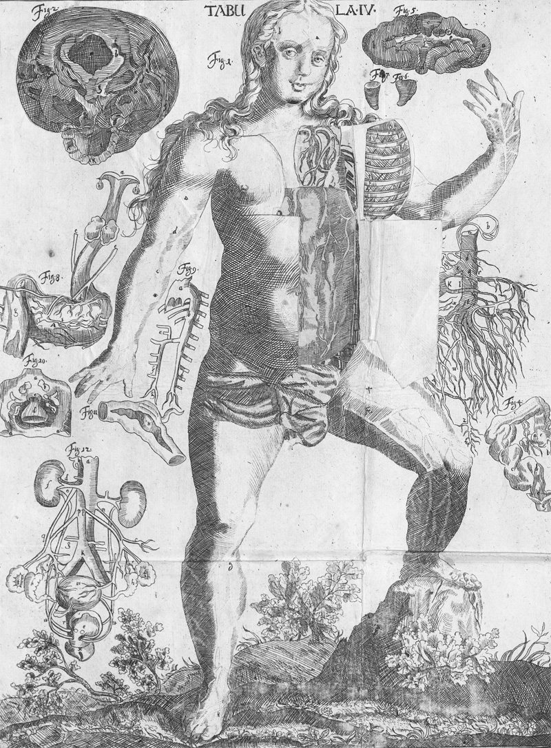 Lot 219, Auction 128, Hellwig, Christoph von, Anatomicum vivum Frankfurt und Leipzig, Hieronymus Philipp Ritschel, (1720).