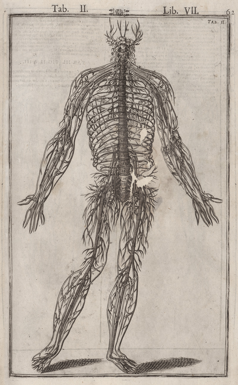 Lot 238, Auction 128, Spiegel, Adriaan van de, De humani corporis fabrica libri decem