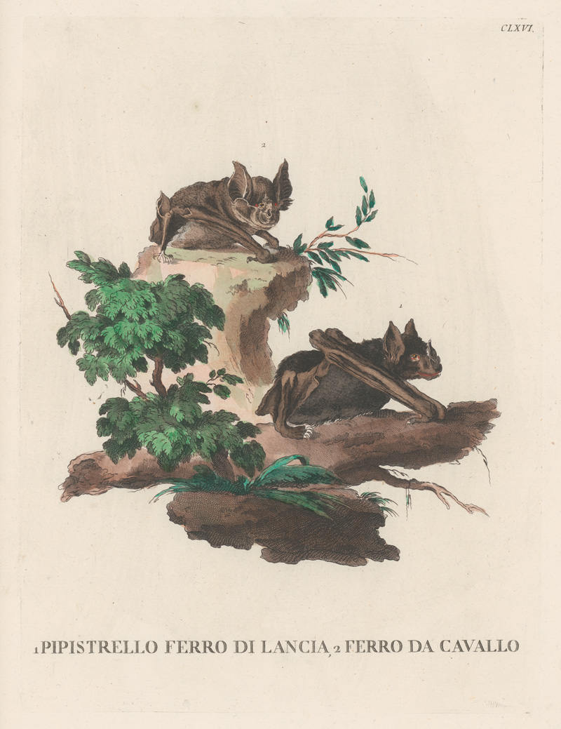 Lot 278, Auction 128, Allessandri, Innocente, Animali quadrupedi, 4 Bände, Venedig 1771.