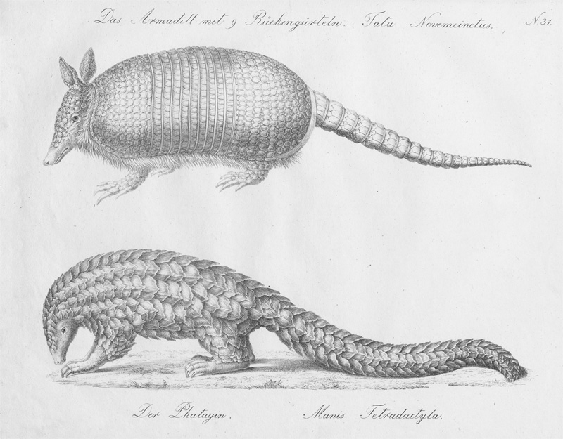 Lot 282, Auction 128, Brodtmann, Karl Joseph, Naturhistorische Bilder-Gallerie