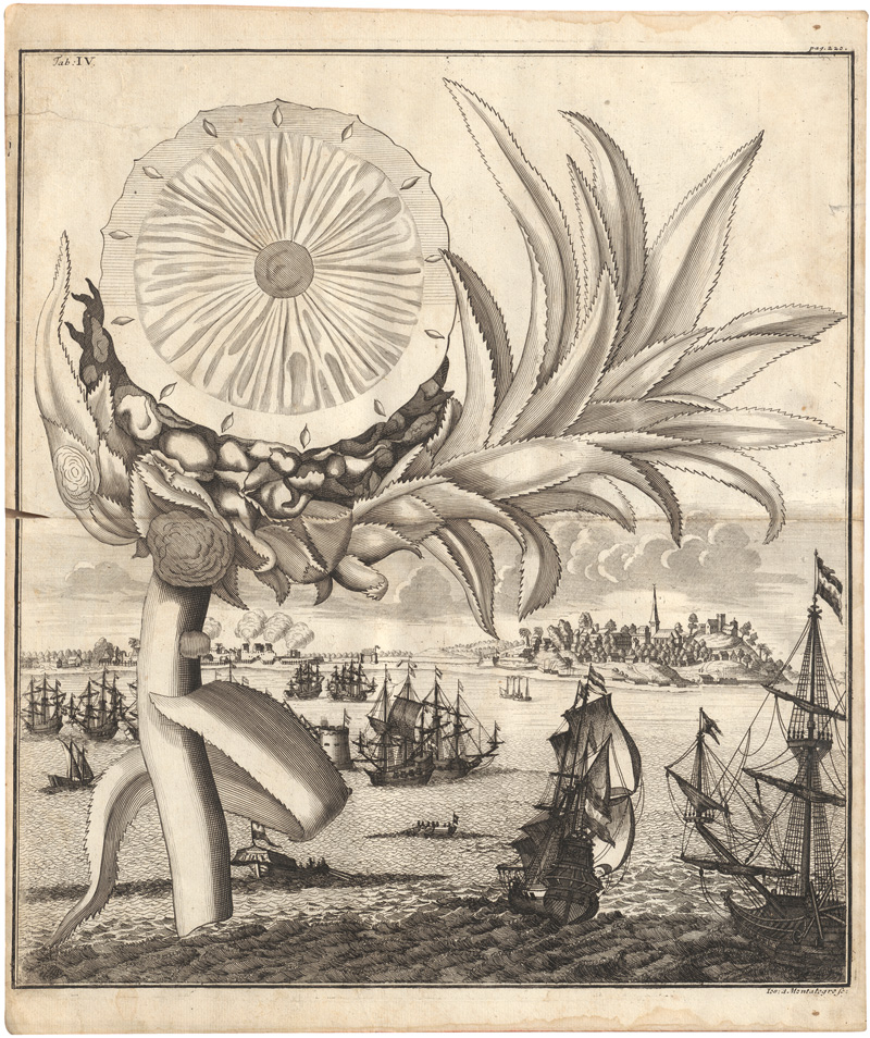 Lot 306, Auction 128, Volkamer, Johann Christoph, Continuation der Nürnbergischen Hesperidum