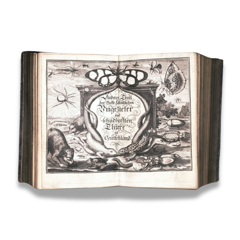 Lot 314, Auction 128, Krafft, Abraham Friedrich, Der sowohl Menschen und Viehe grausamen Thiere .. gäntzliche Ausrottung