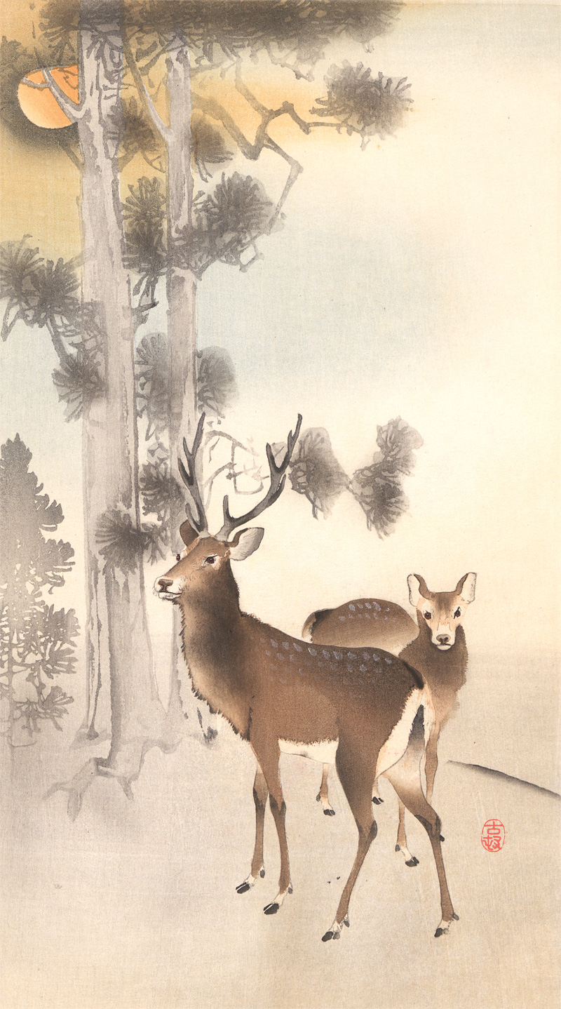 Lot 574, Auction 128, Ohara, Koson, Album mit 12 Farbholzschnitten mit Darstellungen von Flora und Fauna (vorwiegend Vögel)