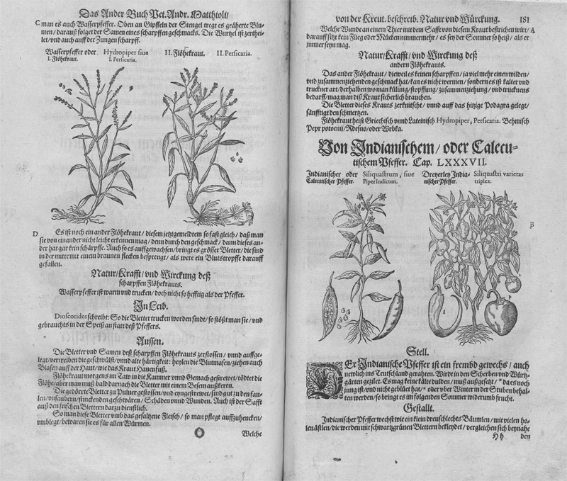 Lot 1110, Auction 128, Mattioli, Pietro Andrea, Kreutterbuch