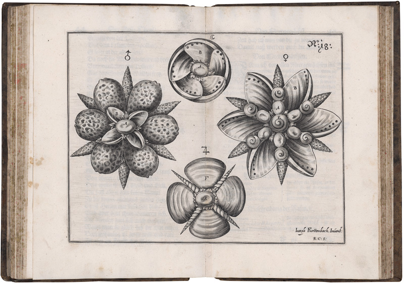 Lot 1220, Auction 128, Furttenbach, Joseph, Architectura civilis