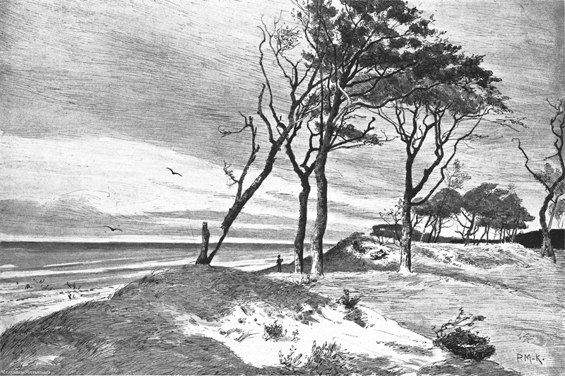 Lot 1250, Auction 128, Müller-Kaempff, Paul, Ahrenshoop. Sommertage am Ostseestrande