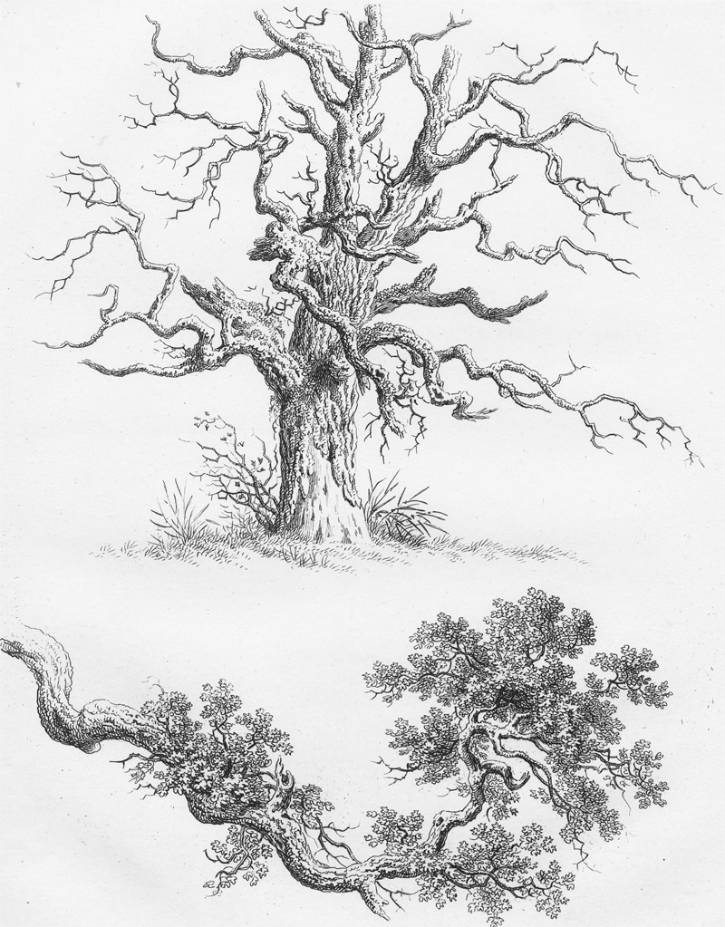 Lot 1279, Auction 128, Wagner, Johann Johann, Studien und Ideen für Landschaftszeichner