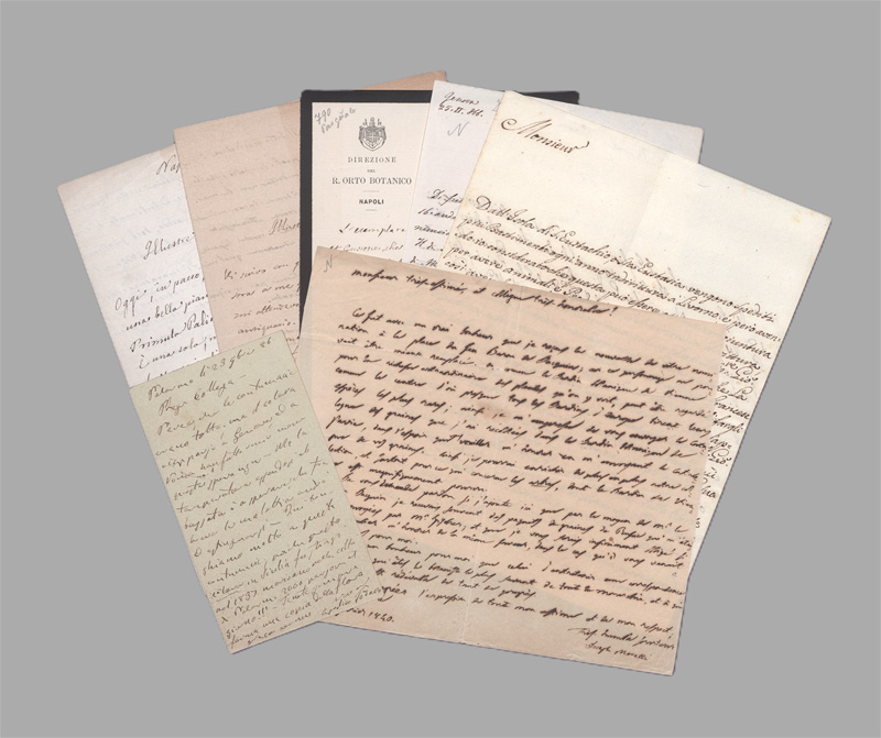 Lot 2663, Auction 128, Italienische Botaniker, 11 Autographen. 1755-1886