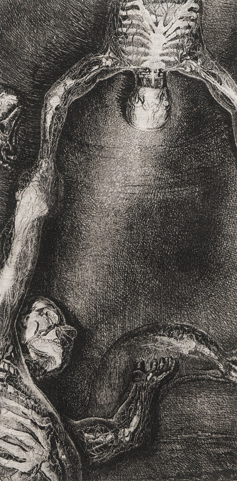 Lot 3162, Auction  128, Jünger, Ernst, Nervengeflechte