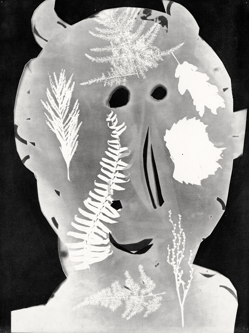 Lot 3272, Auction 128, Picasso, Pablo, Diurnes. Décupages et photographies