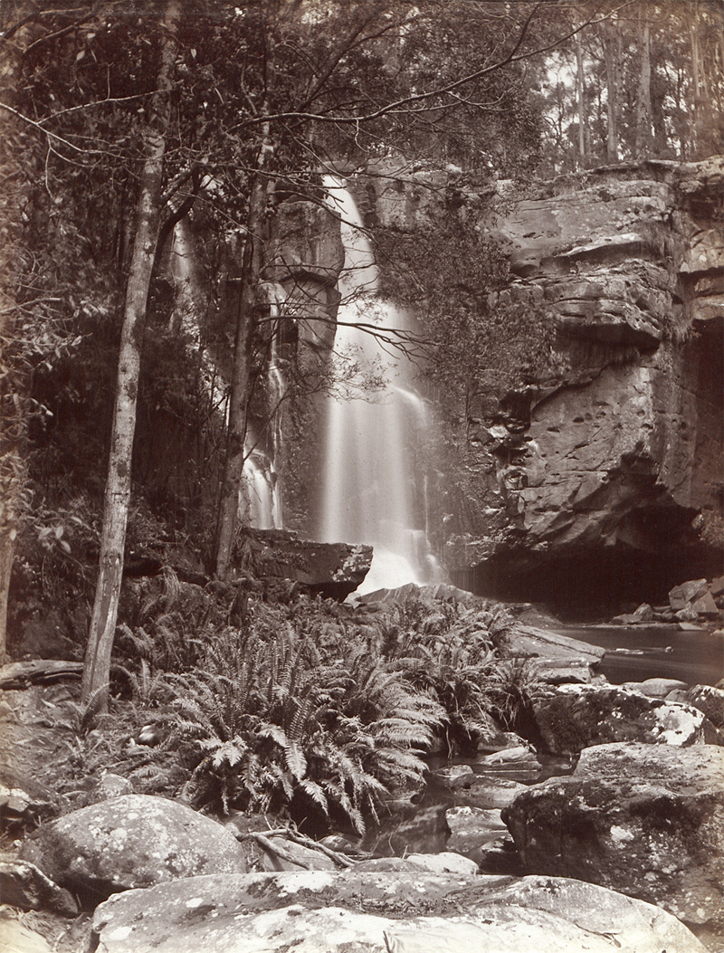 Lot 4010, Auction 128, Australia, Views of rain forests and waterfalls in Australia