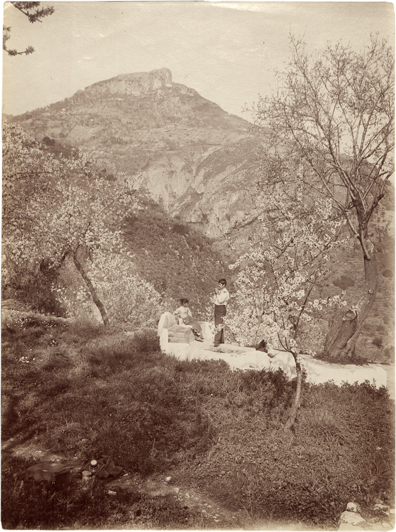 Lot 4044, Auction 128, Gloeden, Wilhelm von, Almond trees in blossom at Monte Ziretto, Taormina
