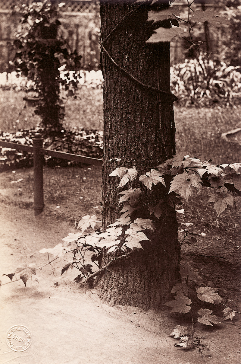Lot 4090, Auction 128, Schwartz, F. Albert, Landscape views, Havel area of Berlin