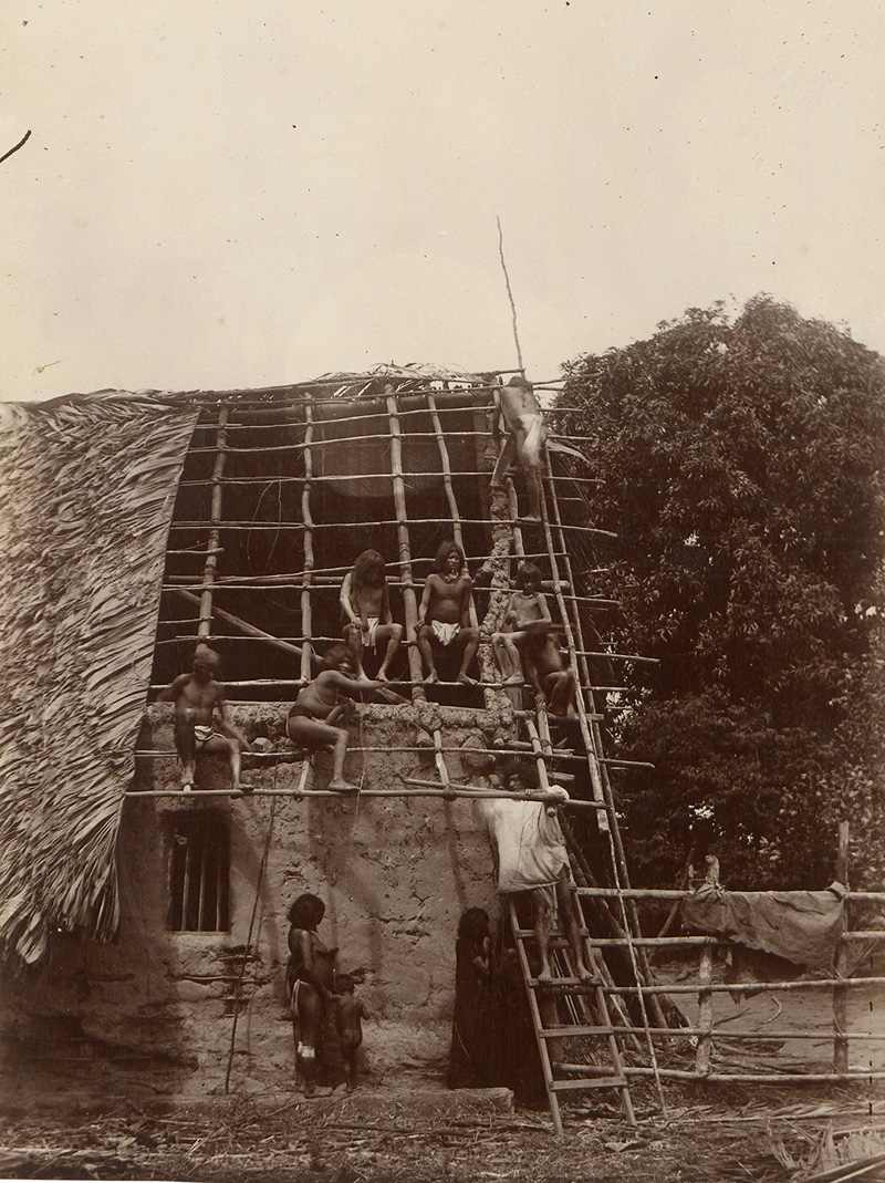 Lot 4097, Auction  128, Venezuela, Piaroa people thatching a roof, Orinoco River basin, Venezuela