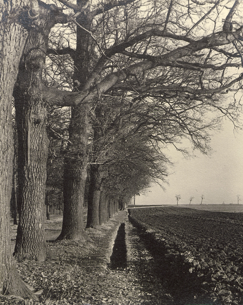 Lot 4195, Auction  128, Koch, Heinrich, Tree-lined country road