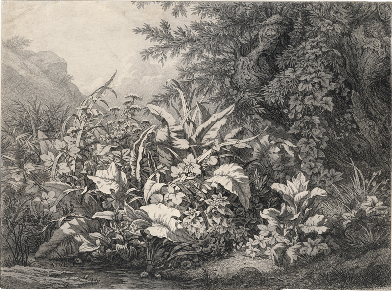 Lot 5298, Auction 128, Bléry, Eugène, Großes Kräuterstück