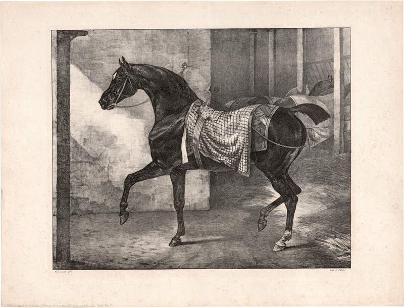 Lot 5308, Auction  128, Géricault, Théodore, Cheval noir attaché dans une écurie
