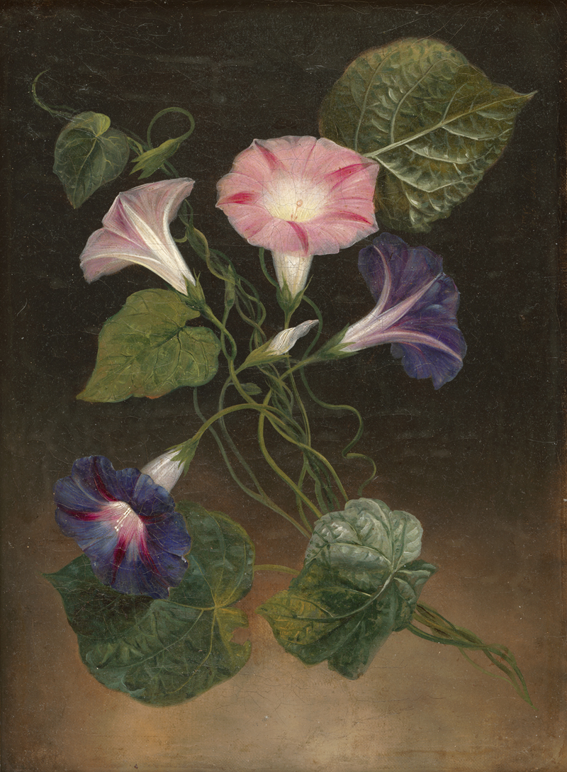 Lot 6060, Auction 128, van Marcke, Marie, Stillleben mit Zaunwinde