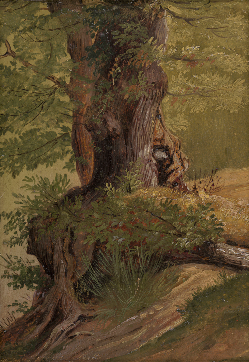Lot 6091, Auction  128, Törmer, Benno Friedrich, Baumstamm bei Ariccia in den Albaner Bergen