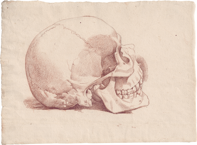 Lot 6620, Auction 128, Französisch, 18. Jh. Studie eines Schädels