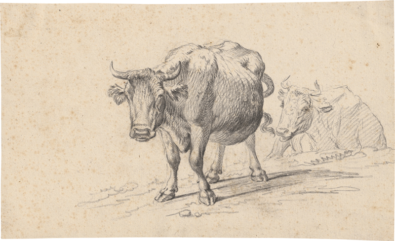 Lot 6654, Auction  128, Kolbe, Carl Wilhelm, Studienblatt mit zwei Kühen
