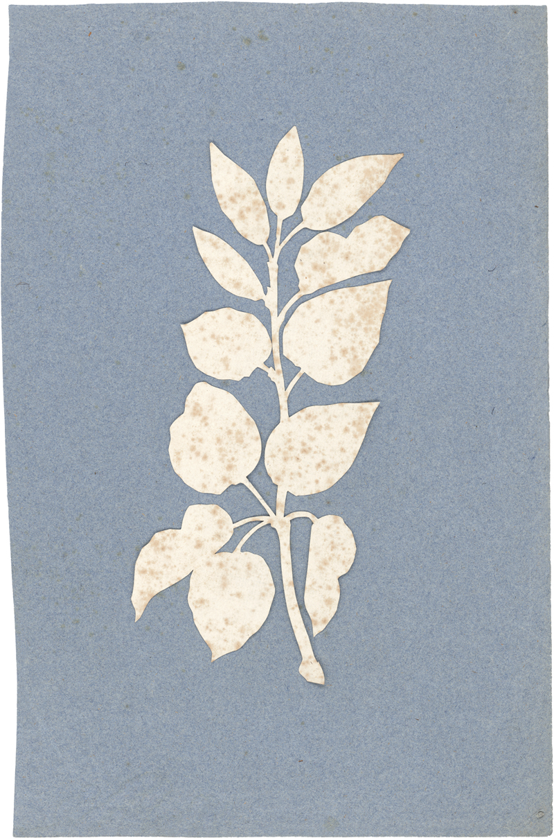 Lot 6671, Auction 128, Runge, Philipp Otto, Blätterzweig