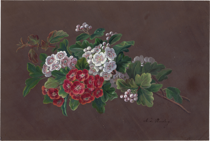 Lot 6759, Auction  128, Dänisch, 19. Jh. Blumenstillleben mit Weißdornzweigen