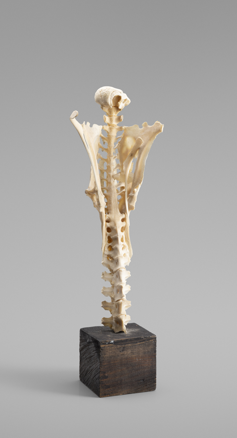 Lot 7293, Auction 128, Beckmann, Otto, Schamanisches Objekt (Knochenfigur)